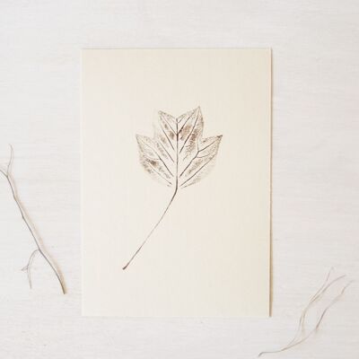 Tulip tree • small poster • vegetal imprint Warm brown