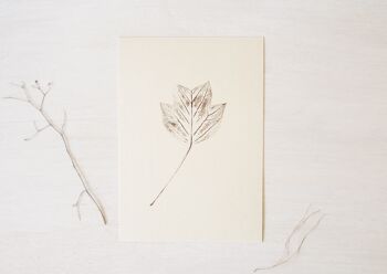 Tulipier • petite affiche • empreinte végétale Brun chaud 1