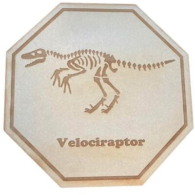 Dinosaur Fossil Plaques - Velicoraptor