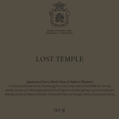 Lost Temple 16 Piece