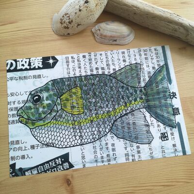 pez fugu