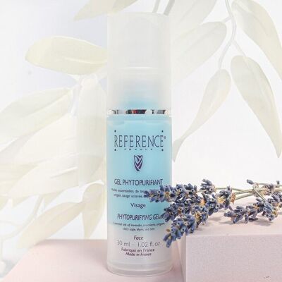 Phytopurifying Gel