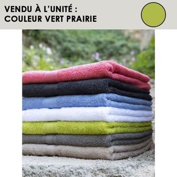 Serviette coton éponge vert prairie - CENTEX 2