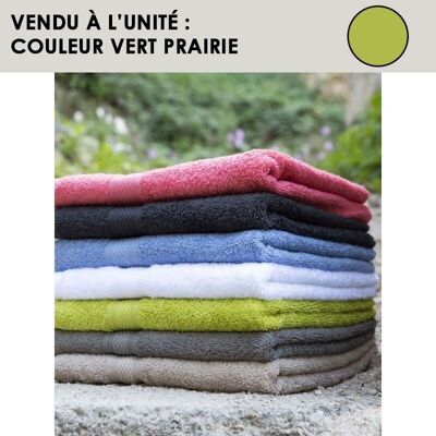 Meadow green cotton terry towel - CENTEX