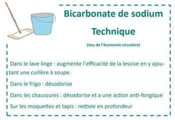 Bicarbonate technique 750 gr pot réemployé 🔄 2