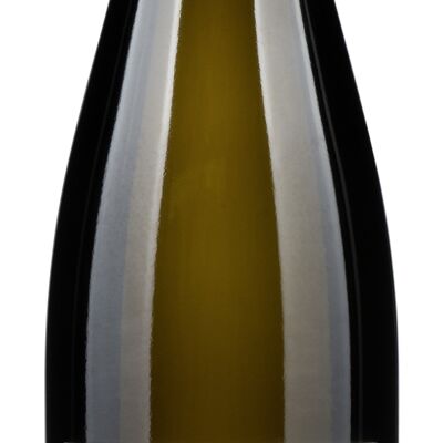 Riesling QbA secco Palatinato 0,75 lt.