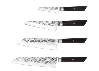 Set de couteaux Complet Bunka - 4 pièces 2