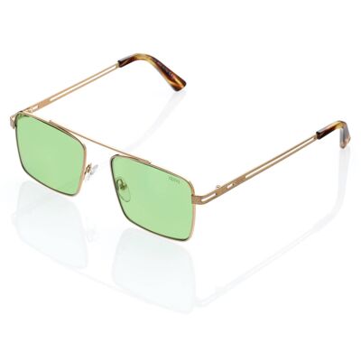 Sunglasses DP69 DPS112-02S