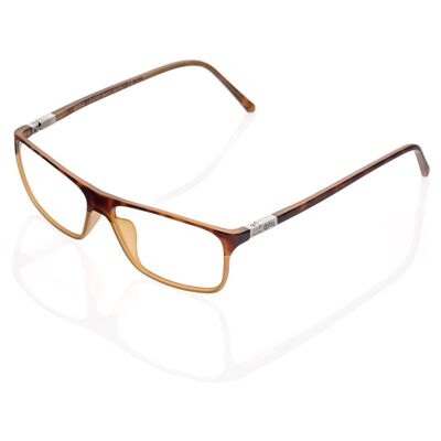 DP69 DPV005-02 Brille