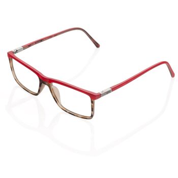 Lunettes DP69 DPV016-26 1