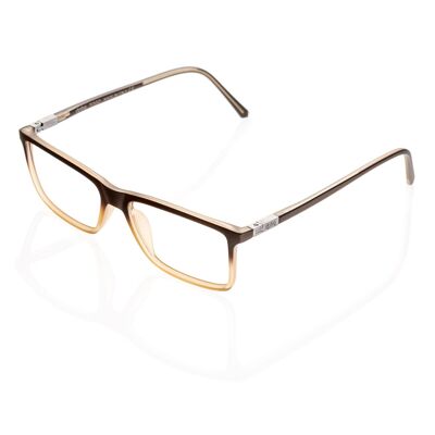 DP69 DPV016-29 Eyeglasses