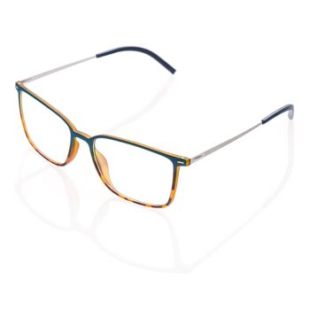 Lunettes DP69 DPV026-04 1