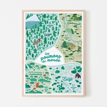 Affiche enfant grandes forêts A3 2