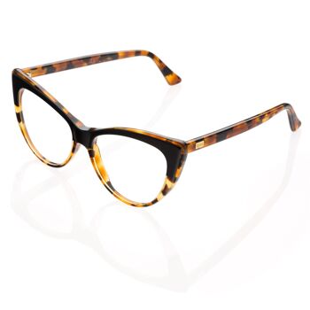 DP69 DPV034-04 Lunettes 1