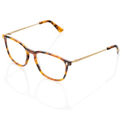 Lunettes DP69 DPV040-04