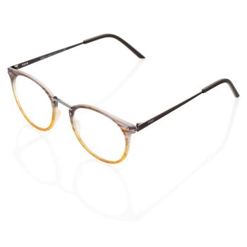 DP69 DPV043-08 Lunettes 1