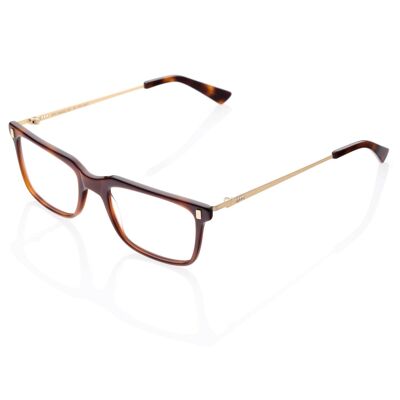 DP69 DPV049-02 Eyeglasses