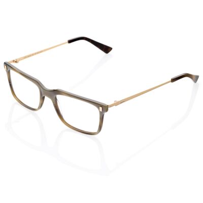 DP69 DPV049-03 Eyeglasses
