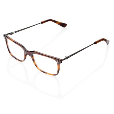 DP69 DPV049-05 Eyeglasses