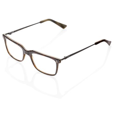 DP69 DPV049-06 Eyeglasses
