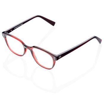 Lunettes DP69 DPV050-04 1