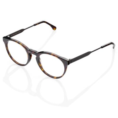 DP69 DPV055-03 Eyeglasses