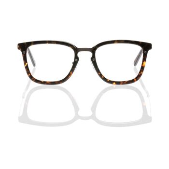 Lunettes DP69 DPV057-02 2