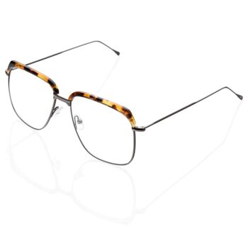 Lunettes DP69 DPV062-52 1