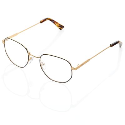 DP69 DPV065-02 Eyeglasses
