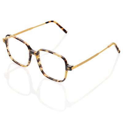 DP69 DPV070-02 Eyeglasses