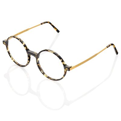 DP69 DPV071-02 Eyeglasses