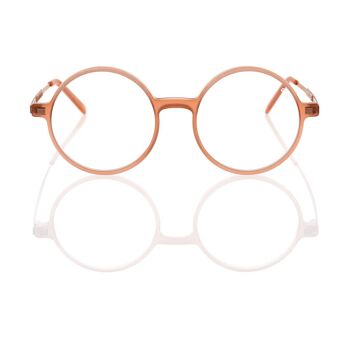 DP69 DPV071-04 Lunettes 2