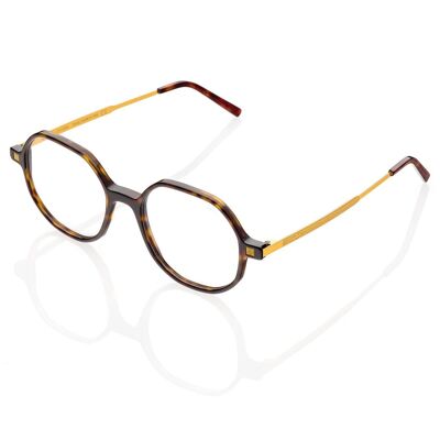 DP69 DPV072-02 Eyeglasses