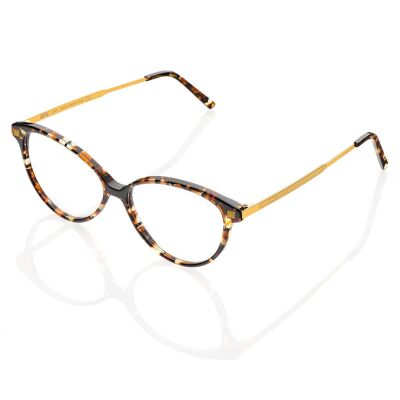 DP69 DPV073-02 Eyeglasses