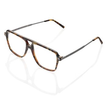 Lunettes DP69 DPV076-03 1