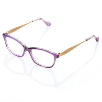 Lunettes DP69 DPV079-04 1