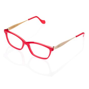 DP69 DPV079-05 Lunettes 1