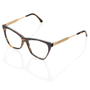 Lunettes DP69 DPV080-04 1