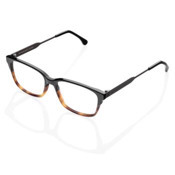 Lunettes DP69 DPV084-06 1