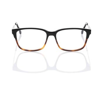 Lunettes DP69 DPV084-06 2