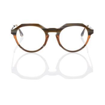 Lunettes DP69 DPV085-04 2