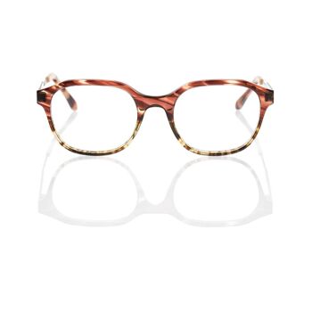 Lunettes DP69 DPV086-04 2