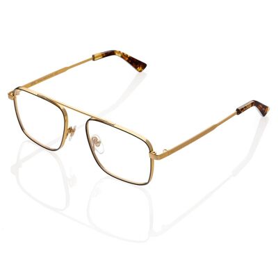 DP69 DPV098-03 Eyeglasses