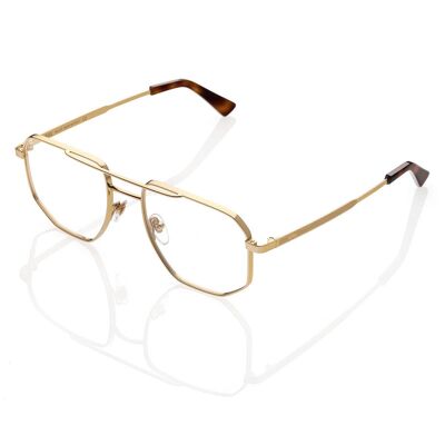 DP69 DPV099-02 Eyeglasses