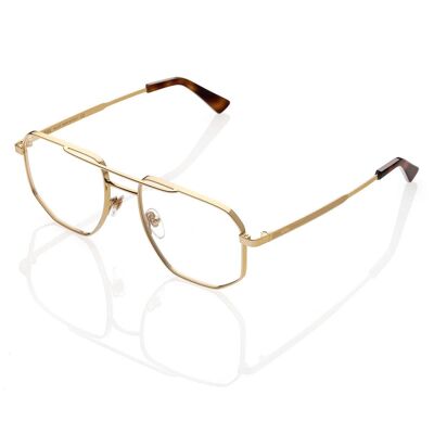 DP69 DPV099-02 Brille