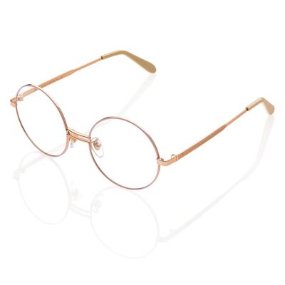 DP69 DPV101-04 Brille