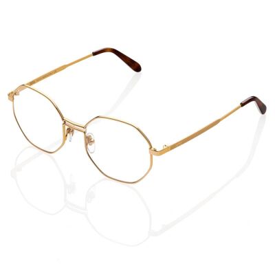 DP69 DPV102-01 Eyeglasses