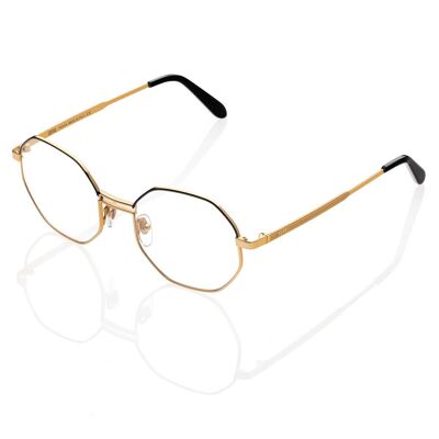 DP69 DPV102-02 Eyeglasses