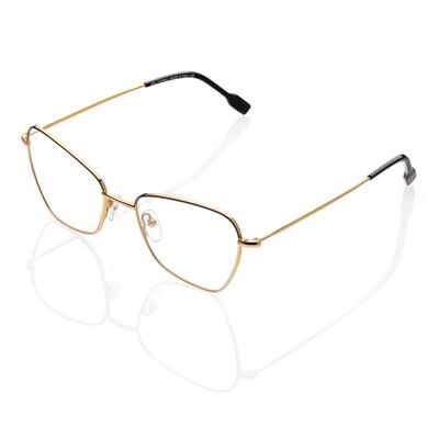 DP69 DPV107-04 Brille