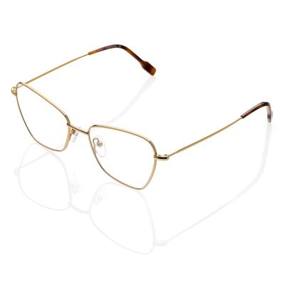 DP69 DPV107-05 Eyeglasses